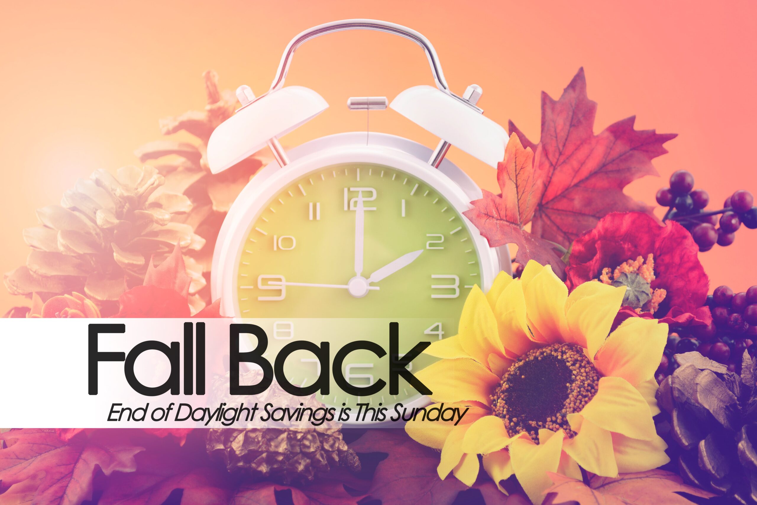 Fall Back ICA Agency Alliance, Inc.