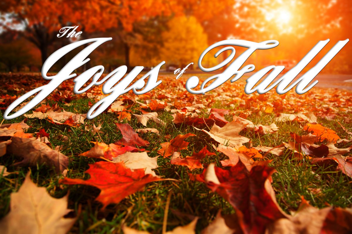 The Joys of Fall – ICA Agency Alliance, Inc.