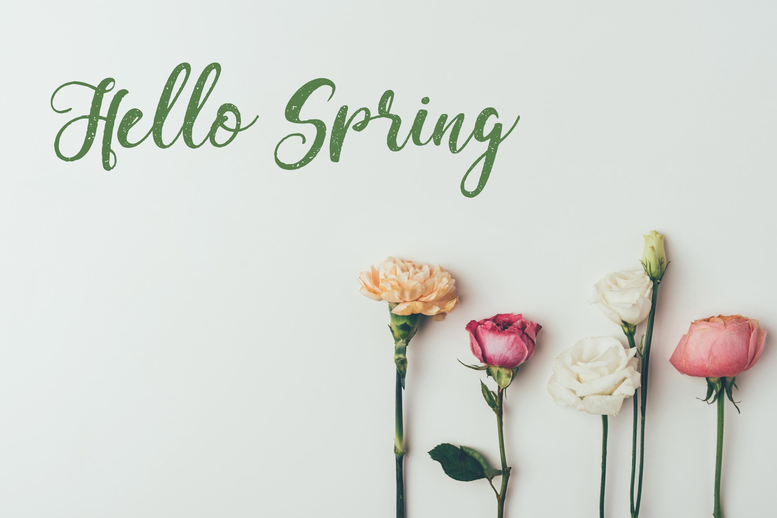 Goodbye Winter, Hello Spring! – ICA Agency Alliance, Inc.