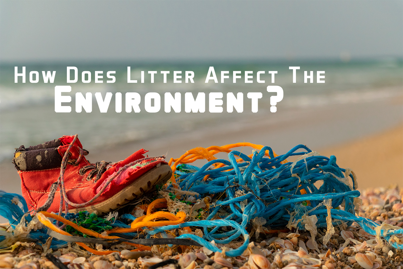 How Does Litter Affect The Environment ICA Agency Alliance Inc 