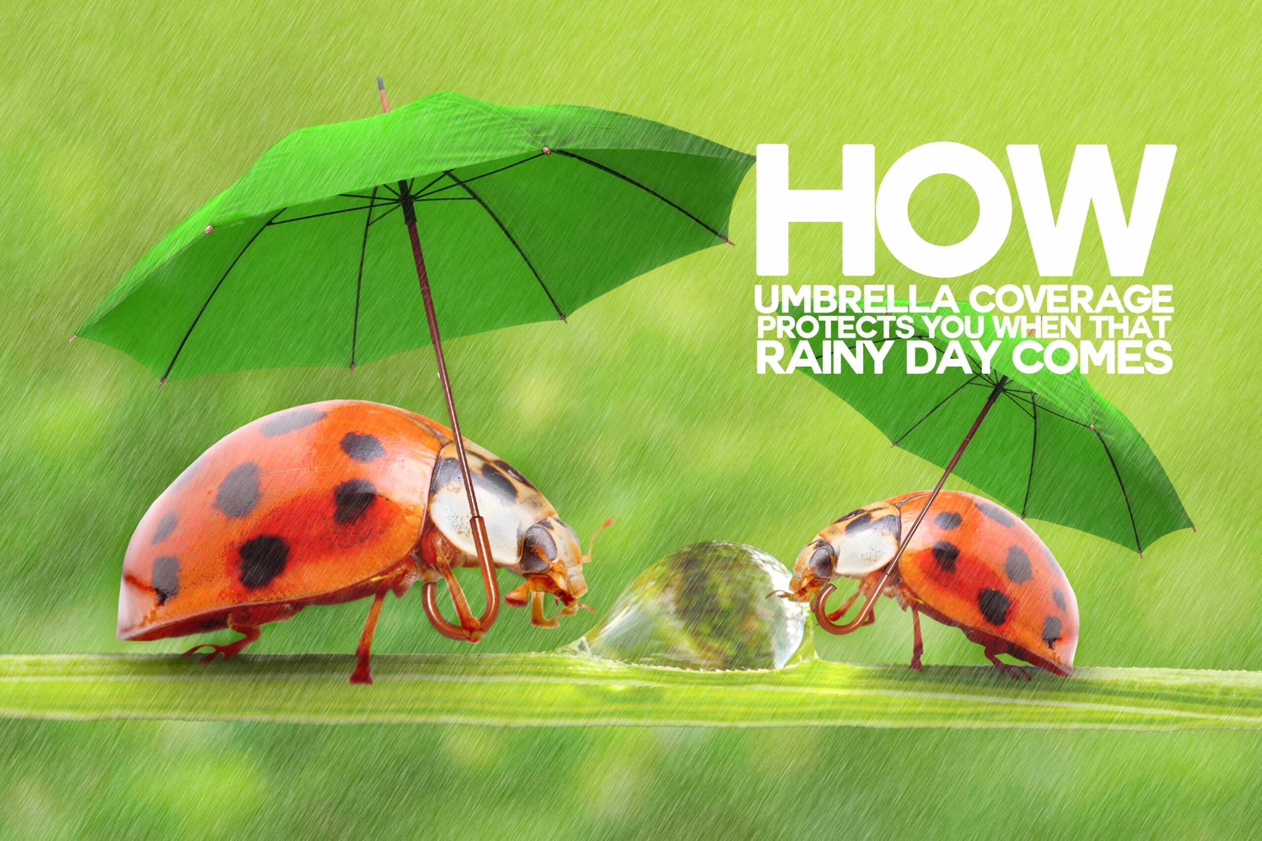 How Umbrella Coverage Protects You When that Rainy Day Comes ICA