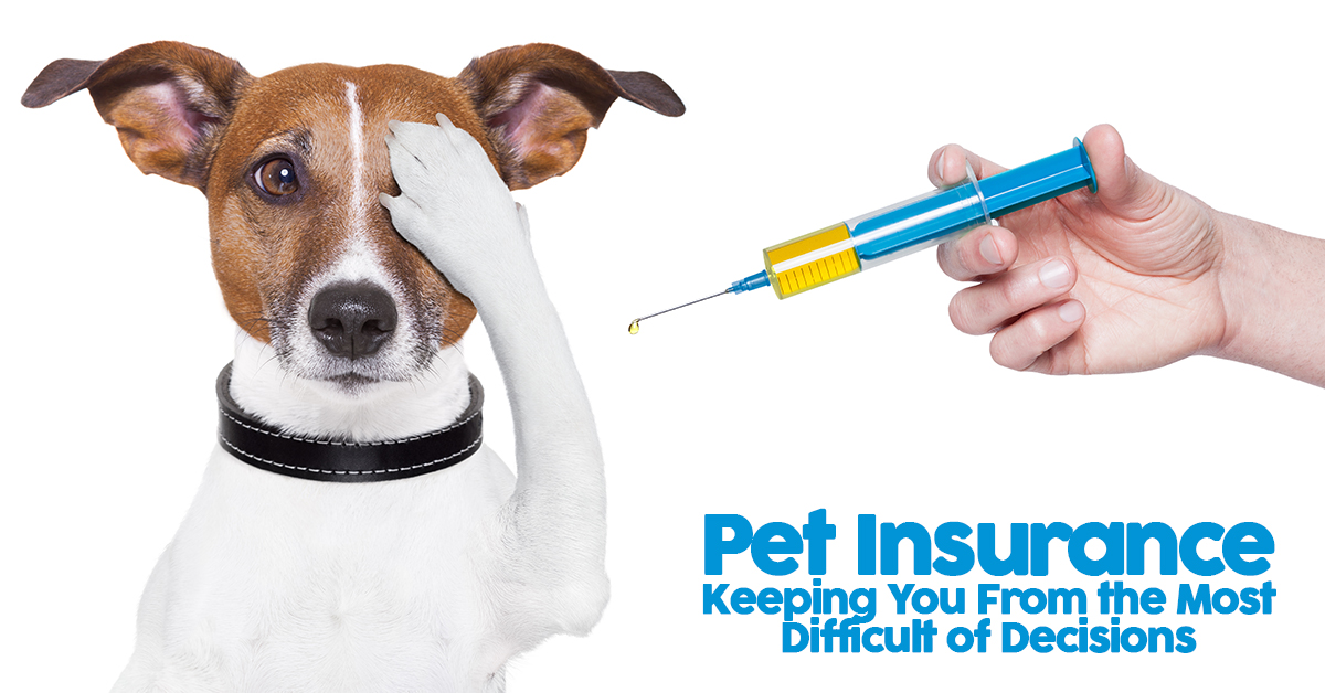How Pet Insurance Can Keep You From the Most Difficult of Decisions
